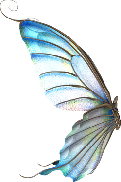 3D Butterfly Illustration 